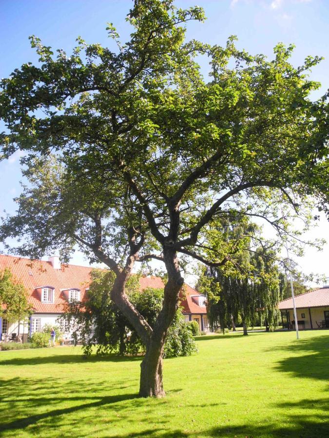 Inspiration Center Denmark, Bed & Breakfast Марібо Екстер'єр фото